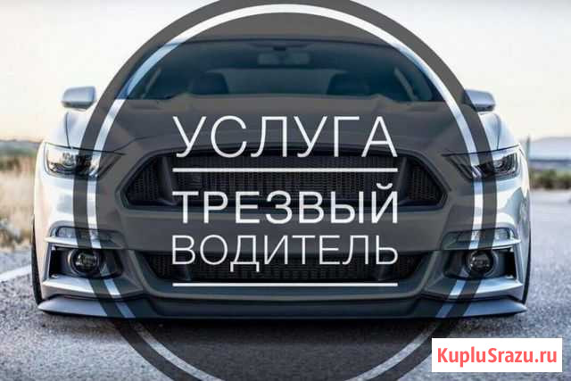 Трезвый водитель Кострома - изображение 1