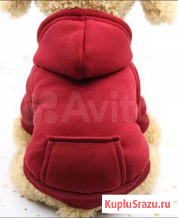 Одежда для животных Свердлова - изображение 1