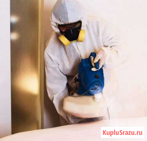 Дезинфекция, Дезинсекция, Дератизация Гатчина - изображение 1