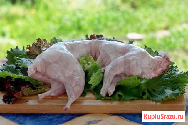 Мясо кролика Коломна - изображение 1