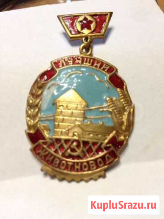 Значок Калининград - изображение 1