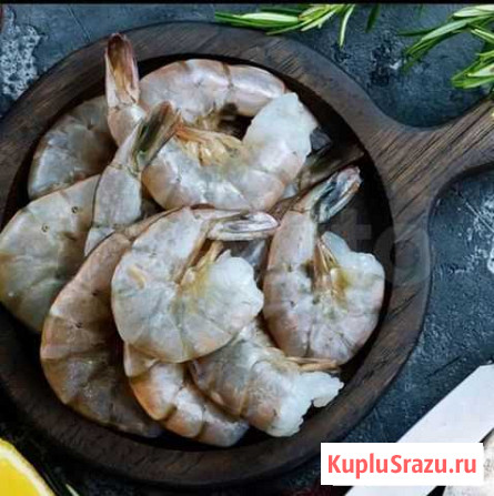 Тигровые креветки Новосибирск - изображение 1