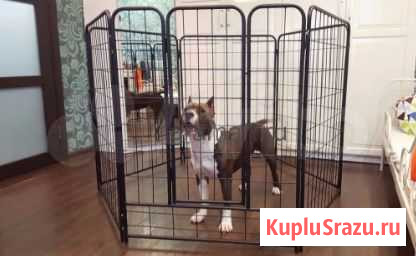 Вольер усиленный 6х80х110 Кемерово - изображение 1