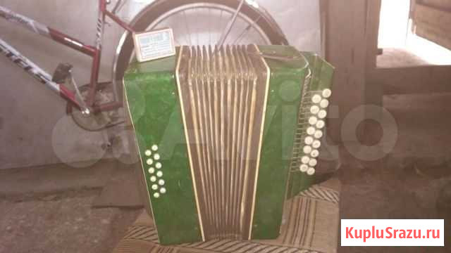 Гармонь Вельск - изображение 1