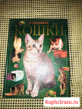 Энциклопедия Кошки Анапа - изображение 1