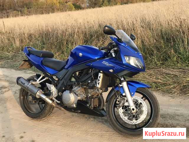 Suzuki SV1000S Ярославль - изображение 1