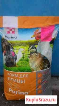 Комбикорм purina Стерлитамак