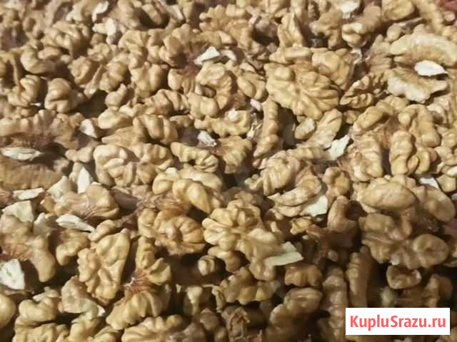 Орех грецкий Волгоград - изображение 1