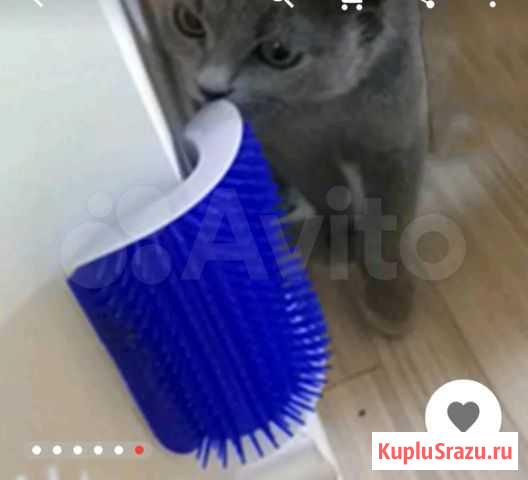 Щётка для кошек Ярославль - изображение 1