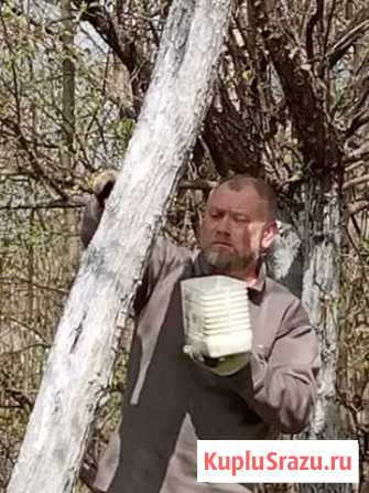 Краски Калуга - изображение 1