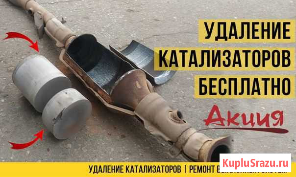 Бесплатное удаление катализатора и прошивка евро-2 Пенза - изображение 1
