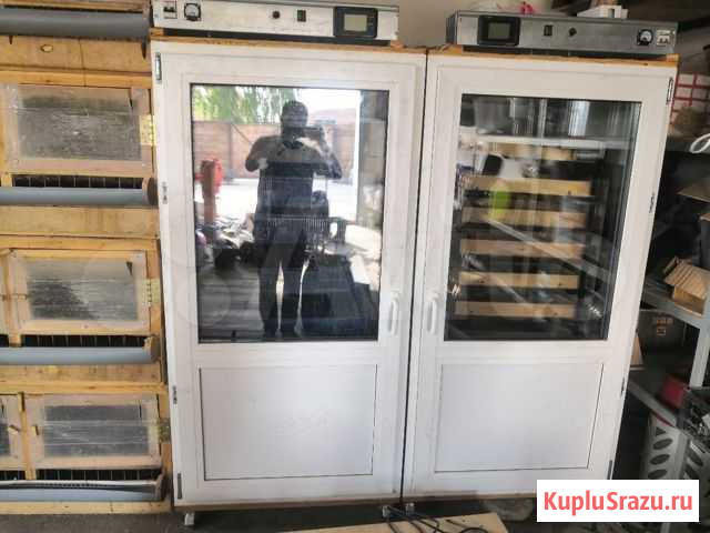 Инкубаторы Колывань - изображение 1