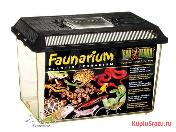 Фаунариум пластиковый ExoTerra Faunarium PT-2265 Санкт-Петербург - изображение 1