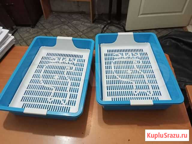Лоток для кошек Челябинск - изображение 1