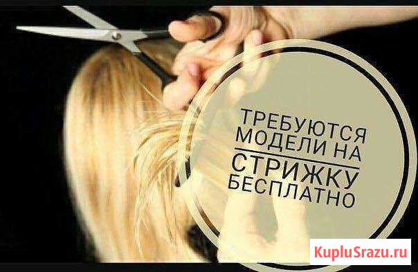 Стрижки Тобольск - изображение 1