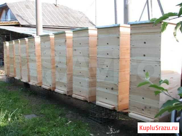 Улей двухкорпусный Дадана Пятигорск - изображение 1