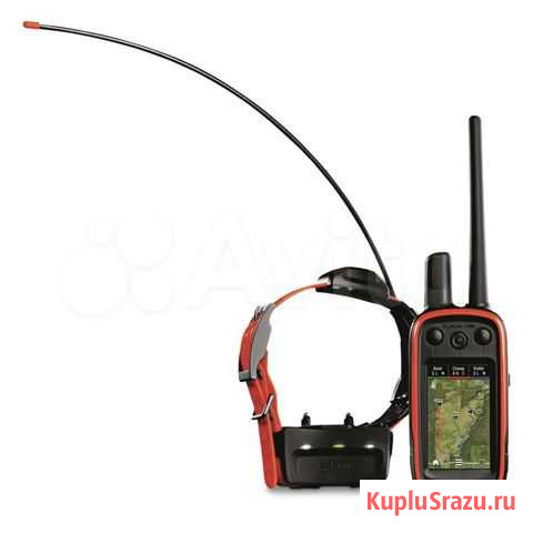 Ошейник Garmin Alpha 100 TT 15 GPS навигатором Краснодар - изображение 1