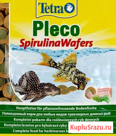 Сухой Корм - Чипсы tetra pleco spirulina wafers Пушкино - изображение 1