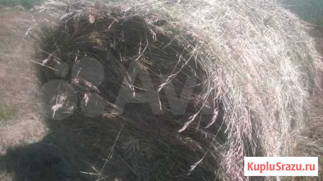 Сено в рулонах Белебей - изображение 1