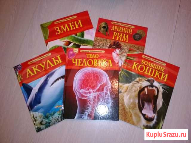 Книги новые. Энциклопедия коллекционная Тула - изображение 1