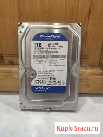 1 тб Жесткий диск WD Blue (WD10ezex) Иваново - изображение 1