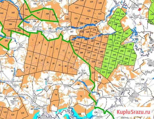 Квартальные карты лесов России Санкт-Петербург - изображение 1