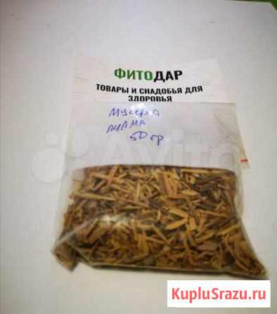 Мира Пуама повышает тонус, афрозадиак, мужская сил Санкт-Петербург - изображение 1