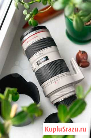 Canon EF 70-200mm f/2.8L USM Москва - изображение 1