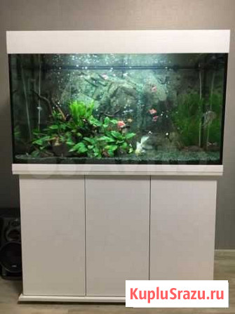 Аквариум новый на 160 л, Нижний Новгород Нижний Новгород - изображение 1
