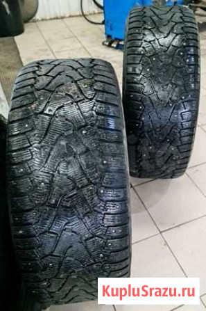 Pirelli Братск - изображение 1