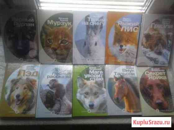 Книги Вышний Волочек