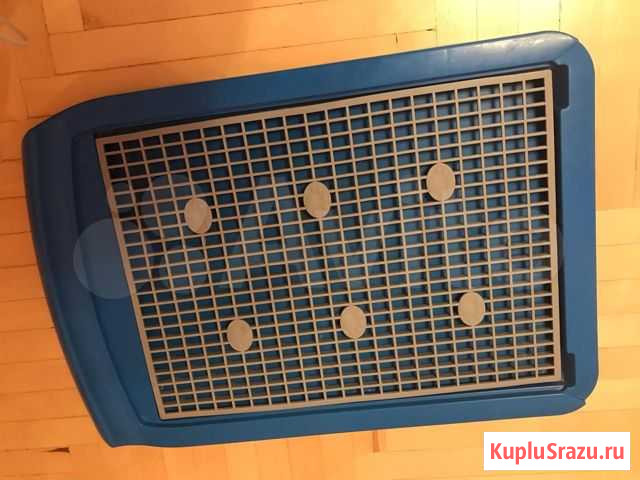 Лоток для мелких пород животных Богучар - изображение 1