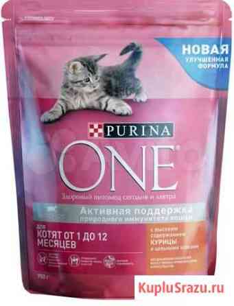 Корм Purina для котят Нижний Тагил