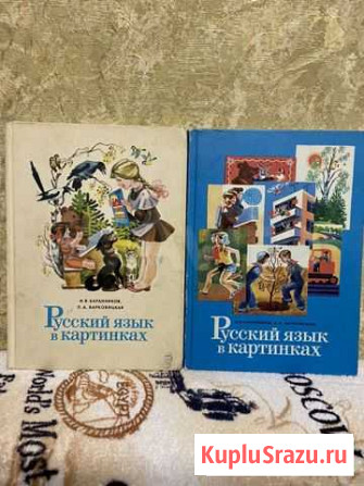 Русский язык в картинках в 2-х частях Тамбов - изображение 1