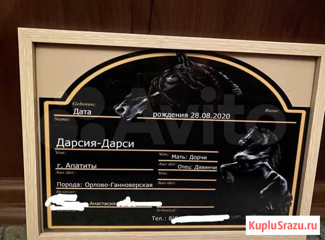 Изготовление табличек на денник лошади Апатиты - изображение 1