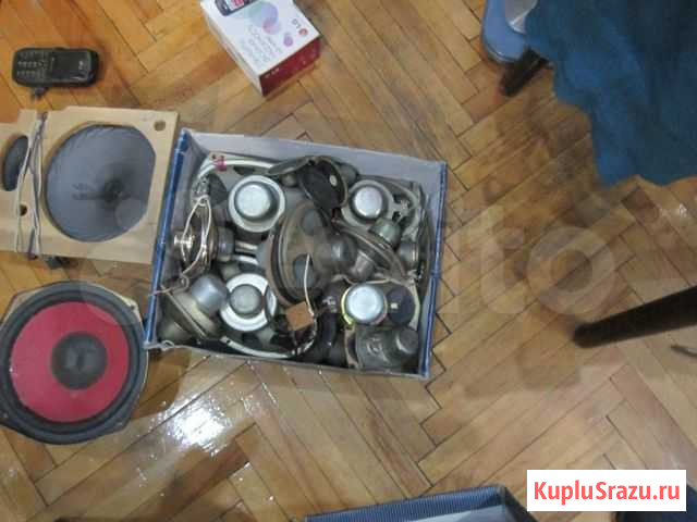 Динамики Санкт-Петербург - изображение 1