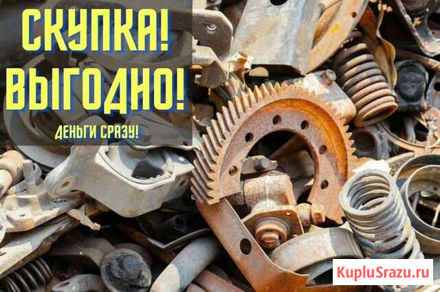 Скупка и вывоз металла Москва - изображение 1