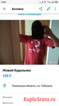 Живой будильник Тобольск - изображение 1