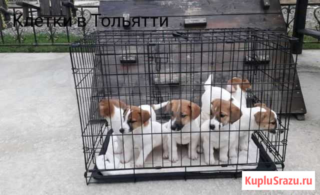 Клетка в квартиру Тольятти - изображение 1