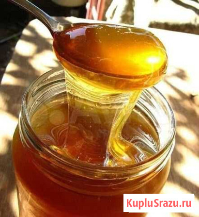 Мед горный Краснодар Краснодар - изображение 1