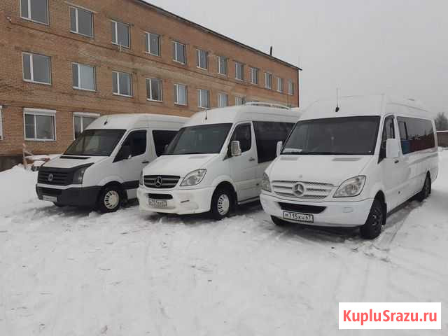 Пассажирские перевозки Вязьма - изображение 1