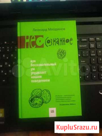 Книга Неосознанное Биробиджан - изображение 1
