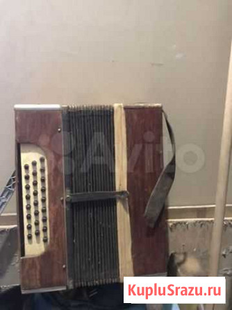 Гармонь Кунгур - изображение 1