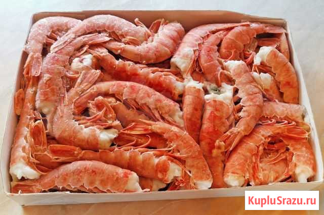 Лангустины L1 без головы 2 кг Морепродукты Мореман Красноярск - изображение 1