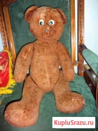 Медведь СССР Нижний Новгород - изображение 1