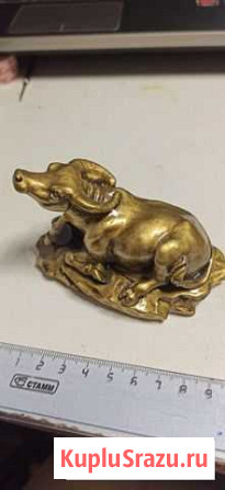 Бык Коломна - изображение 1