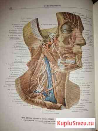 Синельников Атлас анатомии человека 3 том 1981 год Пермь