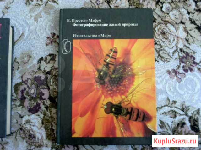 Книга Фотографирование живой природы Тында - изображение 1