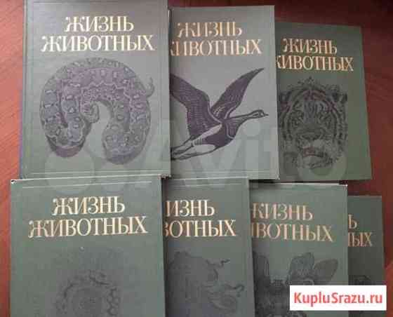 Энциклопедия, книга «Жизнь животных» в 7 томах Ростов-на-Дону