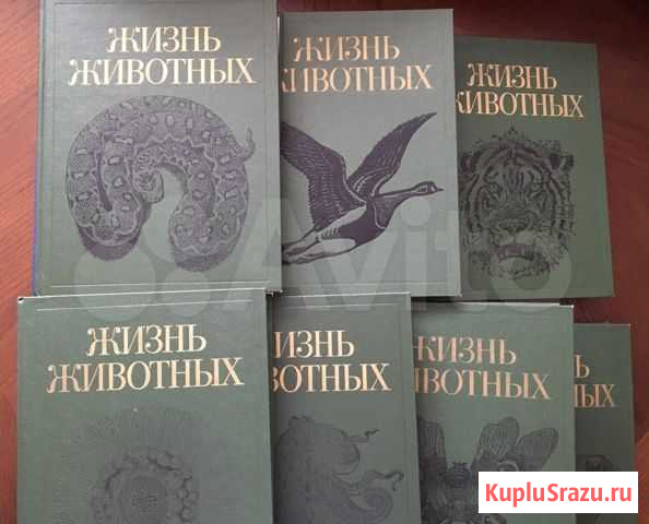 Энциклопедия, книга «Жизнь животных» в 7 томах Ростов-на-Дону - изображение 1